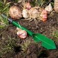 thumbnail image 5 of Van Zyverden Flower Bulb Planting Long Handled Trowel Green, 5 of 7
