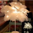 thumbnail image 1 of Bedside Night Light Feather Table Lamp Iron 80LED Teenage Girl Lamp, 1 of 5