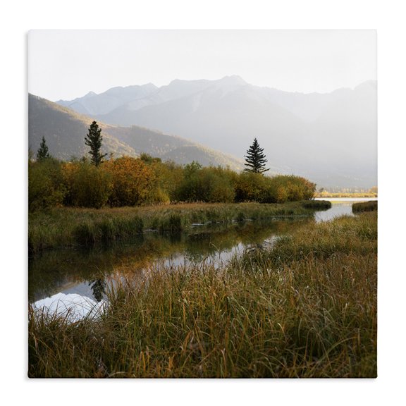 Stupell Industries Coastal Soothing Grassy Bog Stream Mountains Landscape Canvas Art, 17 x 17, by Carol Robinson