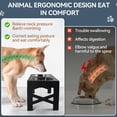 thumbnail image 4 of Cuencos elevados para perros PAWISE con alimentador lento y acero inoxidable, 4 of 9
