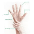 thumbnail image 3 of 1000 Count Remiho Vinyl Gloves – Large Size, Powder-Free, Latex-Free, Clear Disposable Gloves, 3 of 5