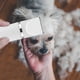thumbnail image 3 of Four In One Pet Shaver Cats Hair Removal Push Clipper Foot Shaving Magical Rechargeable Push Clipper 1.5ml, 3 of 5