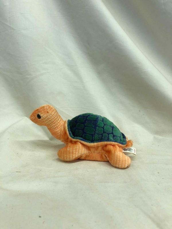 turtle beanie baby peekaboo