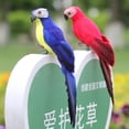 thumbnail image 3 of Xinyolin Simulation Parrot 3D Embedded Eyes Real Feather Creative Artificial Bird Figurine Garden Lawn Ornament for Shopwindow, 3 of 7