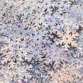 thumbnail image 4 of 30g Snowflake Glitter Sequins, 4 of 4