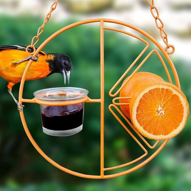 Mangeoires pour Oiseaux d'Extérieur avec Support Orange et Bol à Gelée Amovible