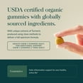 thumbnail image 4 of Gaia Herbs Turmeric Supreme Adult Daily - Daily Support for Healthy, Active Lifestyle* - USDA Certified Organic Blend of Turmeric & Supportive Herbs - 40 Vegan Gummies (20 Servings), 4 of 9