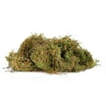 thumbnail image 1 of Environment Reptile Moss, Breathable Moss For Reptiles, Water Absorption For Pet Reptile, 1 of 8