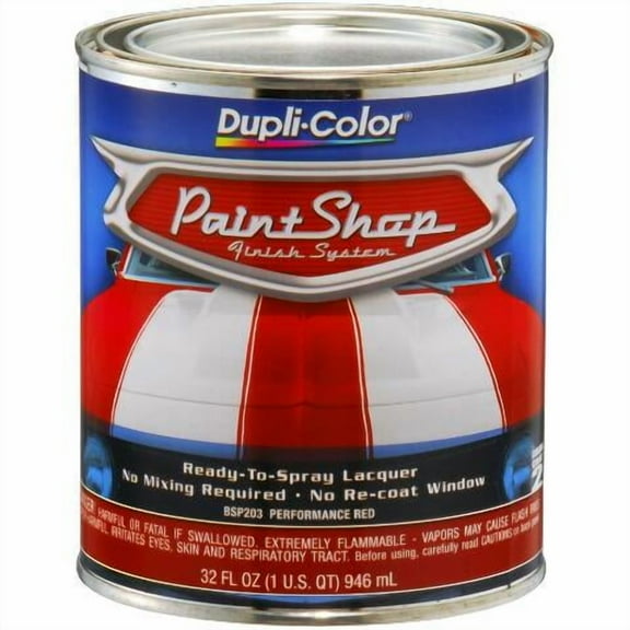 Duplicolor BSP203 Paint Shop Paint