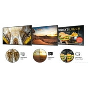 Samsung QM43C 43″ 4K - Landscape - UHD Display Led