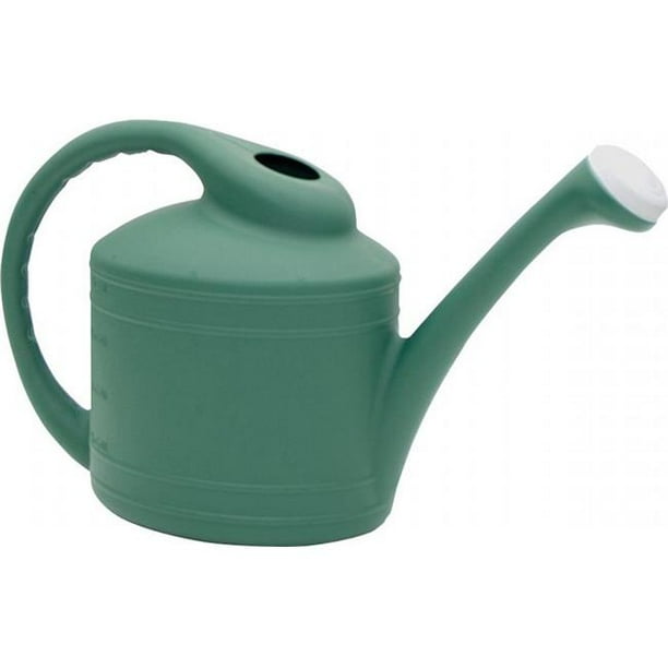 2 Gallon Plastic Watering Can