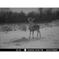 thumbnail image 2 of Alimentation Originale pour Cerf 44lb. par Rack Stacker, 2 of 11