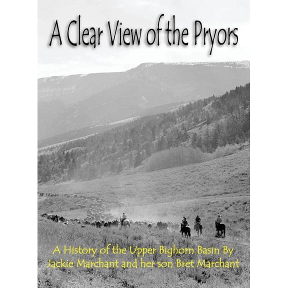 A Clear View of the Pryors (Hardcover)