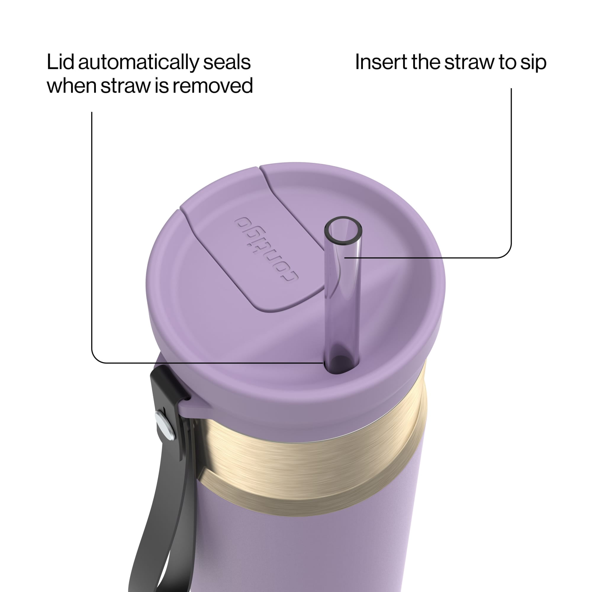 Contigo SnapSeal Leakproof Stainless Steel Reusable Water Bottle with Carrying Strap, Purple/Champagne, 24 oz