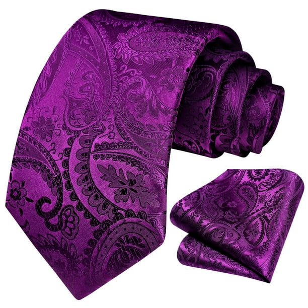 HISDERN Paisley Ties for Men Solid Tie Handkerchief Floral Men's