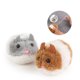 thumbnail image 4 of Juguete interactivo para gatos, con forma de ratón y cadena para tirar y sacudir (marrón), 4 of 5