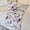 C.2 Ivory, variant on The HomeCentric King / Queen / Twin Silver Luxury Twin 53"x18" Bed Runner WITHOUT Pillow Cover, Abstract, Floral, Bead Hand Embroidery Bed Scarf on Jacquard fabric - Ethereal Silver