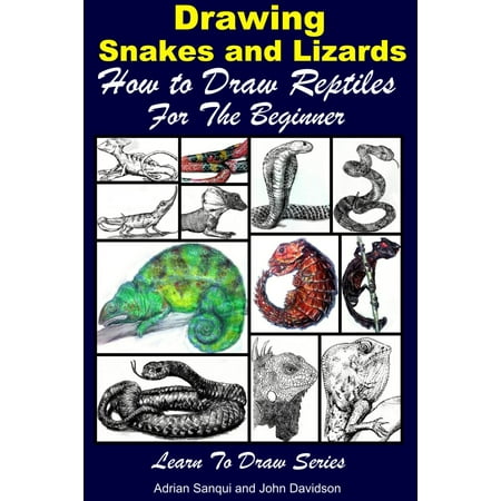 Drawing Snakes and Lizards: How to Draw Reptiles For the Beginner - (Best Monitor Lizard For Beginners)