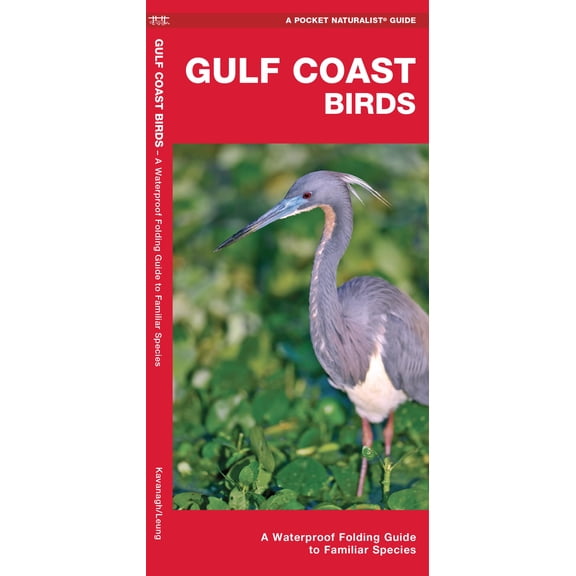 Gulf Coast Birds : A Waterproof Folding Guide to Familiar Species (Edition 2) (Paperback)