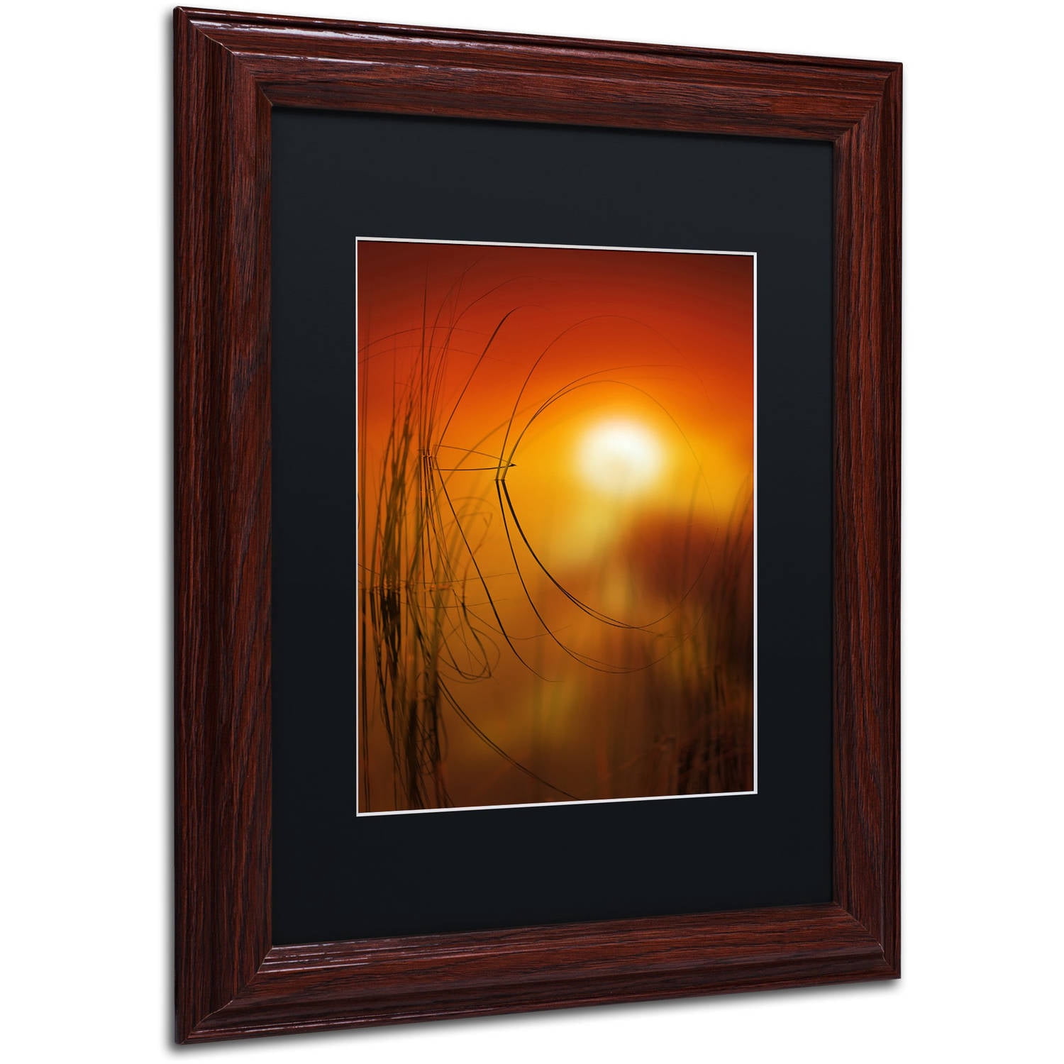 Trademark Fine Art "Nature Time Machine" Canvas Art by Philippe Sainte-Laudy Black Matte, Wood Frame