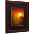 thumbnail image 2 of Trademark Fine Art "Nature Time Machine" Canvas Art by Philippe Sainte-Laudy Black Matte, Wood Frame, 2 of 4