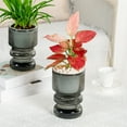 Transparent Hydroponic Small Potted Plant Pots, Indoor Living Room