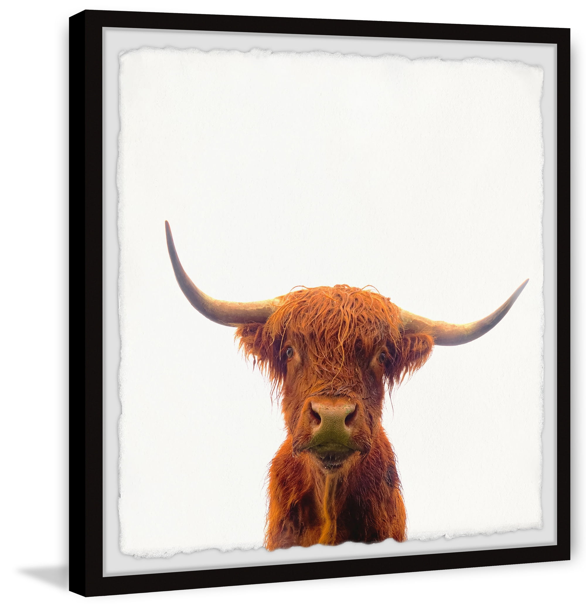 Marmont Hill The Orange Buffalo Framed Wall Art, 18" x 18"