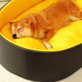 thumbnail image 4 of Canil Kennel Puppy Dog Bed Accessories Canil Enclose Indoor Dog Bed Camping Cat Shop Furniture Casa Perro Pet Products MR50GS ShopWise Round, 4 of 20
