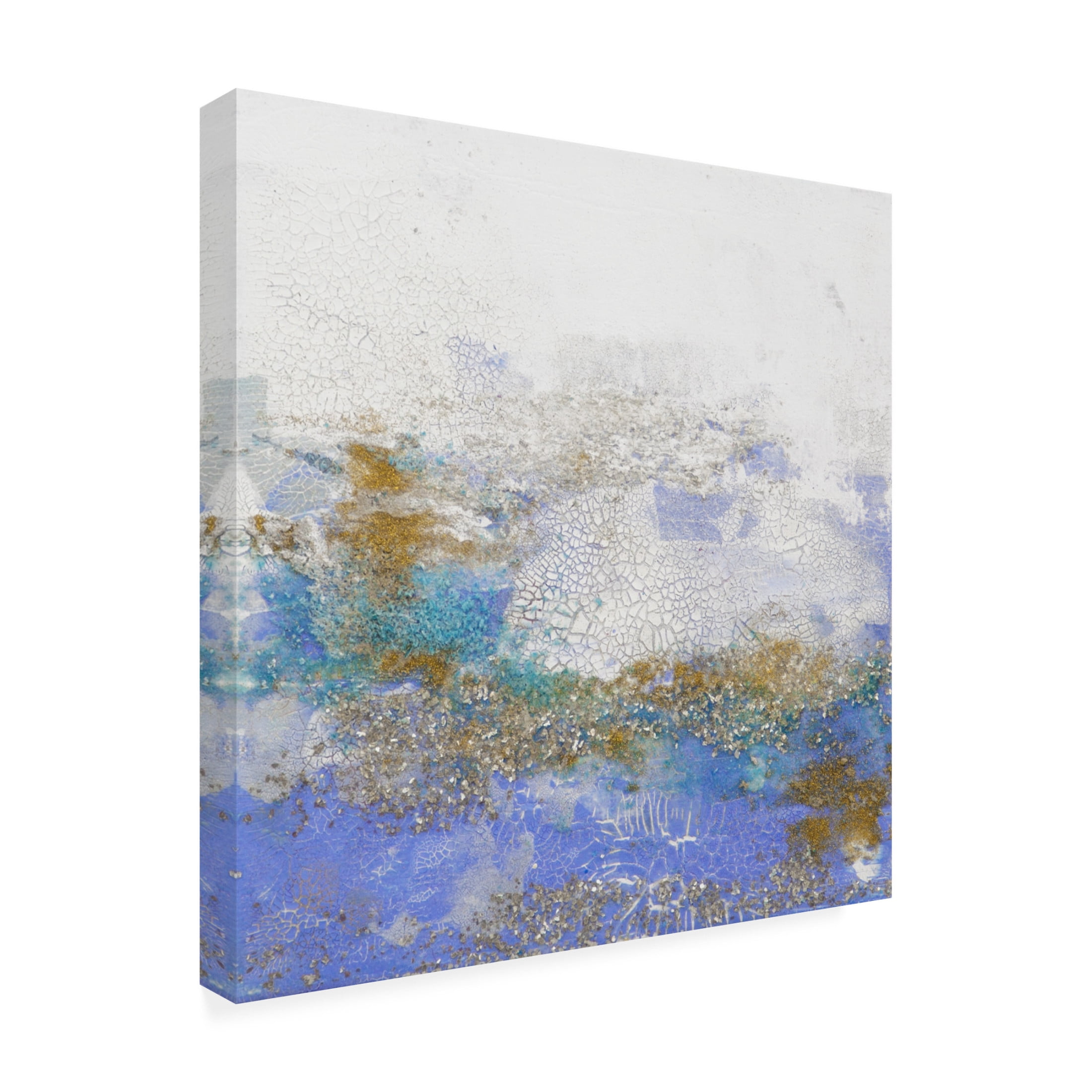 Canvas Wall Art - Hilary Winfield 'Radiance' Wall Art for Living Room, Bedroom, or Office Décor by Trademark Fine Art - 14 x 14 Inches
