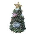 thumbnail image 4 of Surprise Christmas Gift Succulent Christmas Tree, 4 of 6