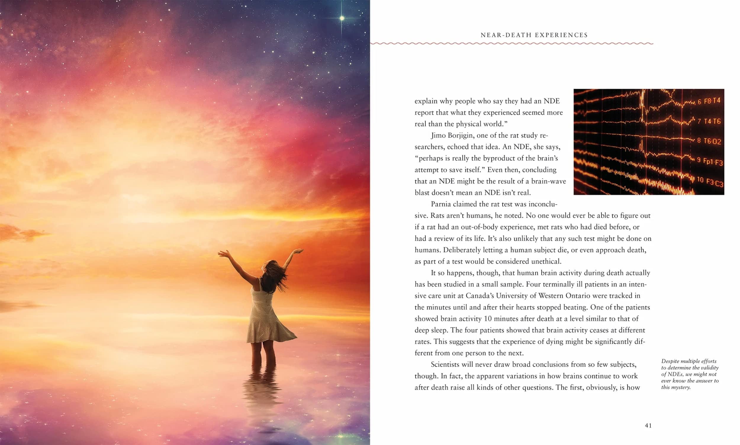 Enduring Mysteries Near-Death Experiences, (Hardcover)