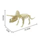 thumbnail image 3 of Kit de ensamblaje de esqueleto de dinosaurio hecho a mano para niños, modelo de esqueleto de plástico de fósil de dinosaurio de simulación, modelo de Tiranosaurio Rex, 3 of 5