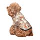 thumbnail image 5 of Balery Woodland Animals in Neutral Tones Sudadera con Capucha para Perros Pequeños – Ropa para Mascotas, Disfraz para Perros y Gatos, Ideal para Fiestas y Cosplay-Medium, 5 of 7