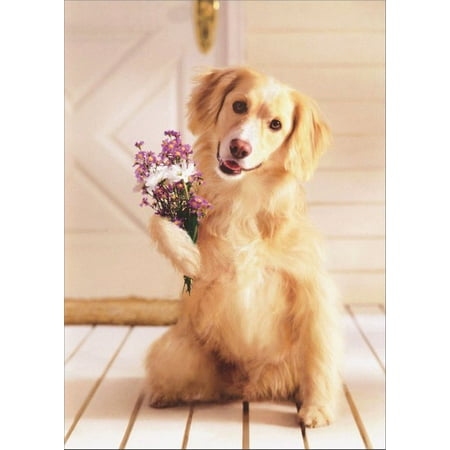 Golden Days Bouquet Avanti Press Dog Holding Bouquet of Flowers Golden Labrador Retriever Mother's Day Card ()