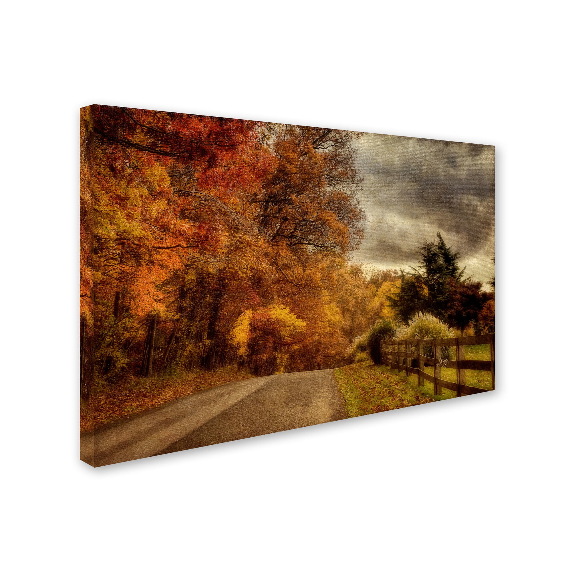 Trademark Fine Art "And the Seasons They Go Round and Round" Canvas Art by Lois Bryan