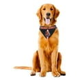 thumbnail image 3 of Cincinnati Bengals Dog Bandanna Size S, 3 of 4