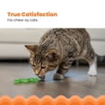 thumbnail image 2 of Catstages OrkaKat Wiggle Worm Cat Chew Toy – Catnip Dental Toy for Kittens and Cats, Orange Rubber with Ridges, 2 of 4