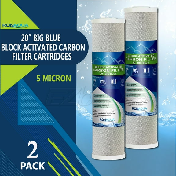 Big Blue CTO Carbon Block Water Filters 4.5" x 20" Whole House Cartridges by Ronaqua (2 Pack)