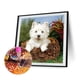 thumbnail image 3 of Cuadros Decorativos Pintura de diamante 5D DIY Kits de perro West Highland taladro Ehuebsd cuadrado completo decoración de pared arte, 3 of 8