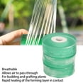 thumbnail image 4 of 3 Rollos de Cintas de Injerto Cintas de Reparación de Plantas Cintas de Injerto de Jardín Estirables Reparación de Plantas Cintas de Injerto Película de Planta Transparente ANGGREK  Otros, 4 of 8