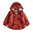 thumbnail image 5 of Veste à Capuche à Double Couche à Manches Longues pour Garçons, 5 of 5