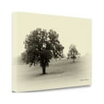 thumbnail image 2 of "Horses And Tress II" By Debra Van Swearingen, Giclee on Gallery Wrap Canvas, 2 of 2