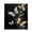 D, variant on Dishwasher Magnet Cover, Highland Cow Flower Decorative Refrigerator Magnet, 23 x 26 Inch Trimmable Dishwasher Front Panel Cover for Home Kitchen Laundry Decorations, Easy Clean