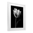 thumbnail image 3 of Stupell Industries Modern Flower Stark Black White Framed Print Under Glass, design by CAD Designs, 16 x 13, 3 of 10