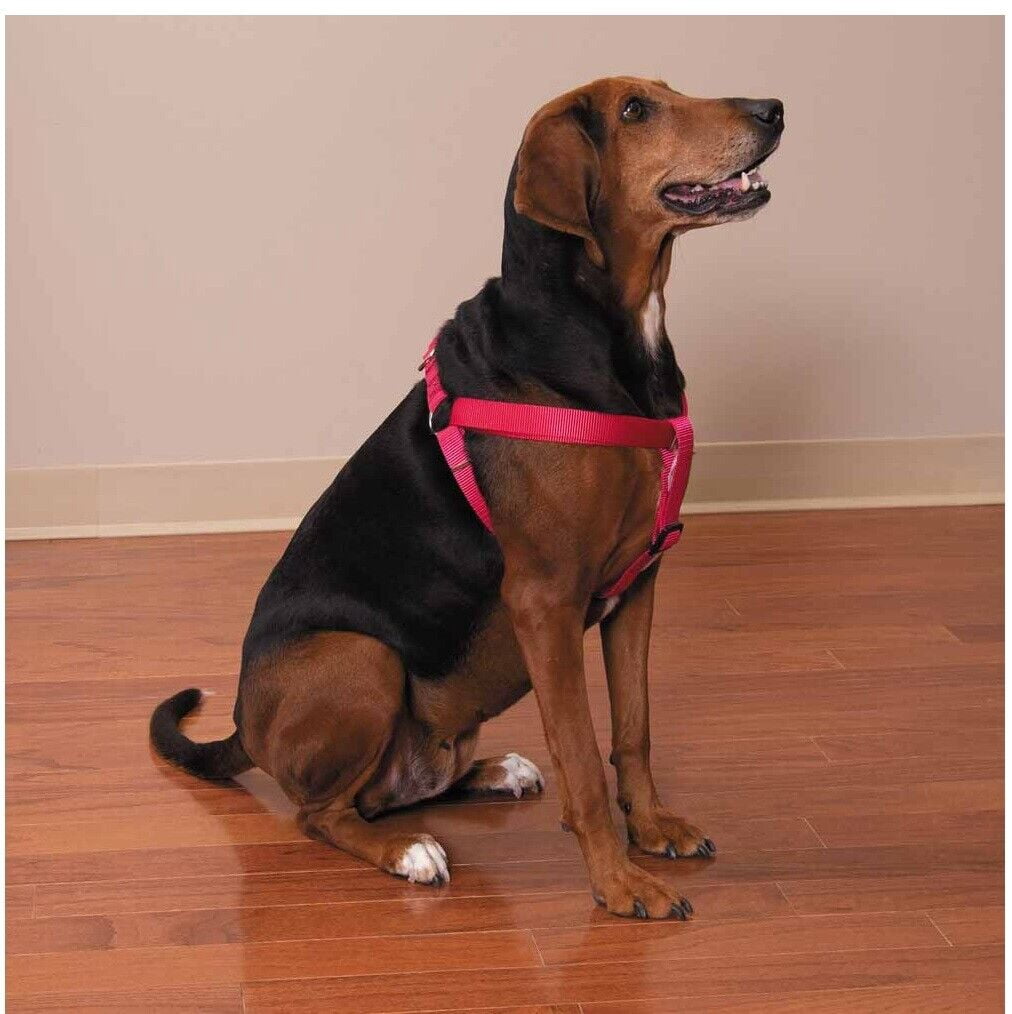 50 Pack Dog Harnesses Bulk Wholesale Assorted Colors Vet Rescue Shelter Safety (Large - 25 to 40 Inch Chest)