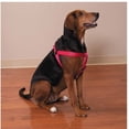 thumbnail image 5 of 100 Pack Dog Harnesses Bulk Wholesale Assorted Colors Vet Rescue Shelter Safety (Small - 9 to 15 Inch Chest), 5 of 8