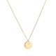 thumbnail image 1 of Collar de flores del mes de nacimiento Sailing colgante medalla redonda disco de oro grabado Floral, 1 of 4