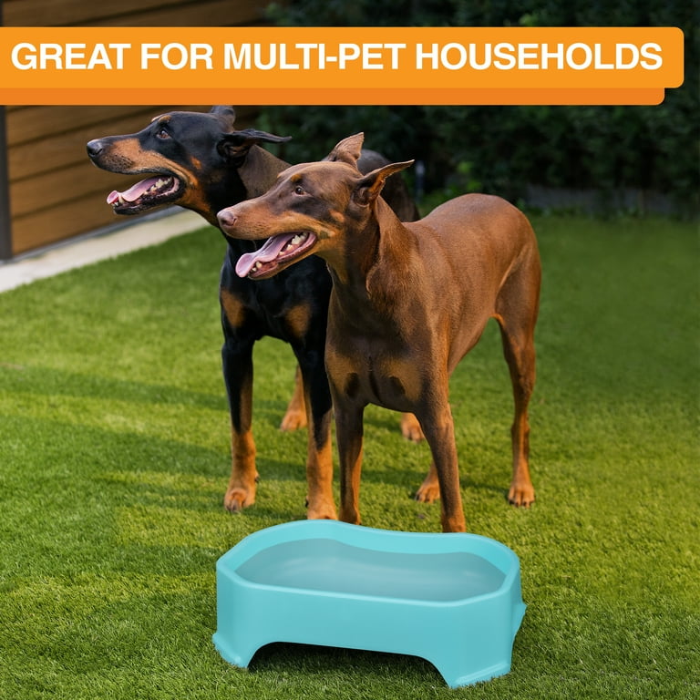 Big Bowl - Extra Large Plastic Water Bowl for Dogs, 1.25 Gallon