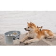 thumbnail image 5 of 2 Stainless Steel Adjustable Elevated Dog Cat Food Water Bowls Feeder Stand Set - Gray, 5 of 8