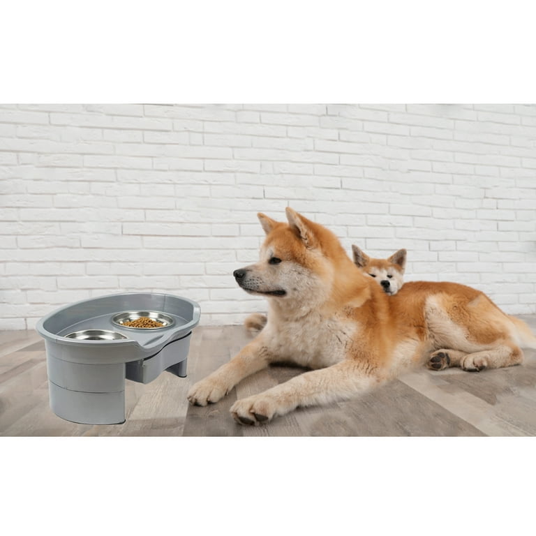 Dogit Elevated Dog Bowl, Stainless Steel Dog Food and Water Bowl